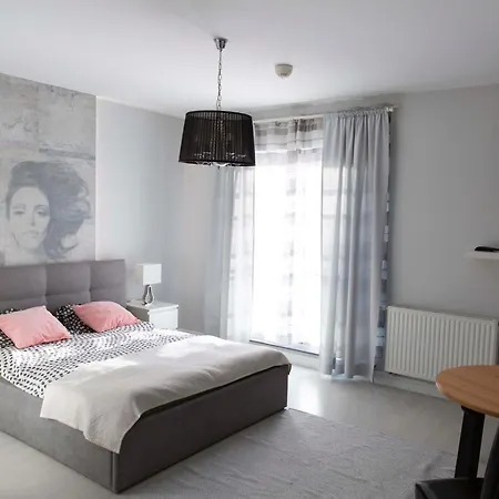 Centre Apartmán Vratislav